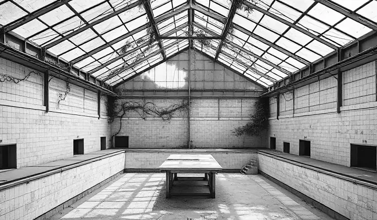 Piscine abandonnée dont le bassin vide se couvre de végétation.