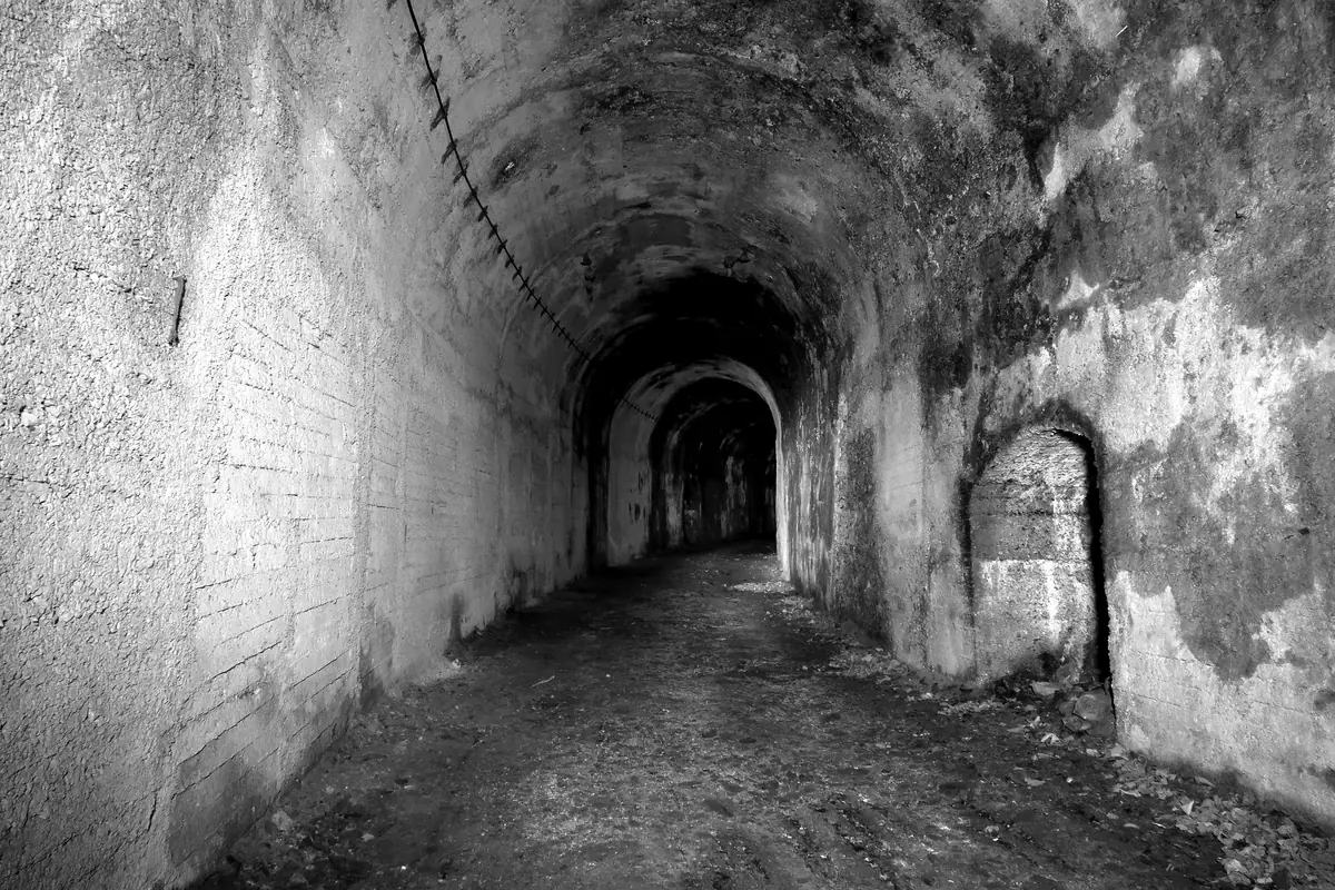 Un tunnel ferroviaire abandonné, voûté, qui s’enfonce dans l’obscurité
