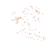 Carte des positions d’urbex du Finistère